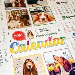 2018 ハッシュパピー　カレンダー　画像